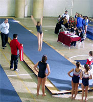 Gimnasia Artstica Femenina - Campeonato Metropolitano 2 Selectivo 2006 -  Suelo