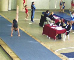 Gimnasia Artstica Femenina - Campeonato Metropolitano 2 Selectivo 2006 -  Suelo 