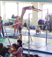 Gimnasia Artstica Femenina - Campeonato Metropolitano 1 Selectivo 2006 -  Paralelas